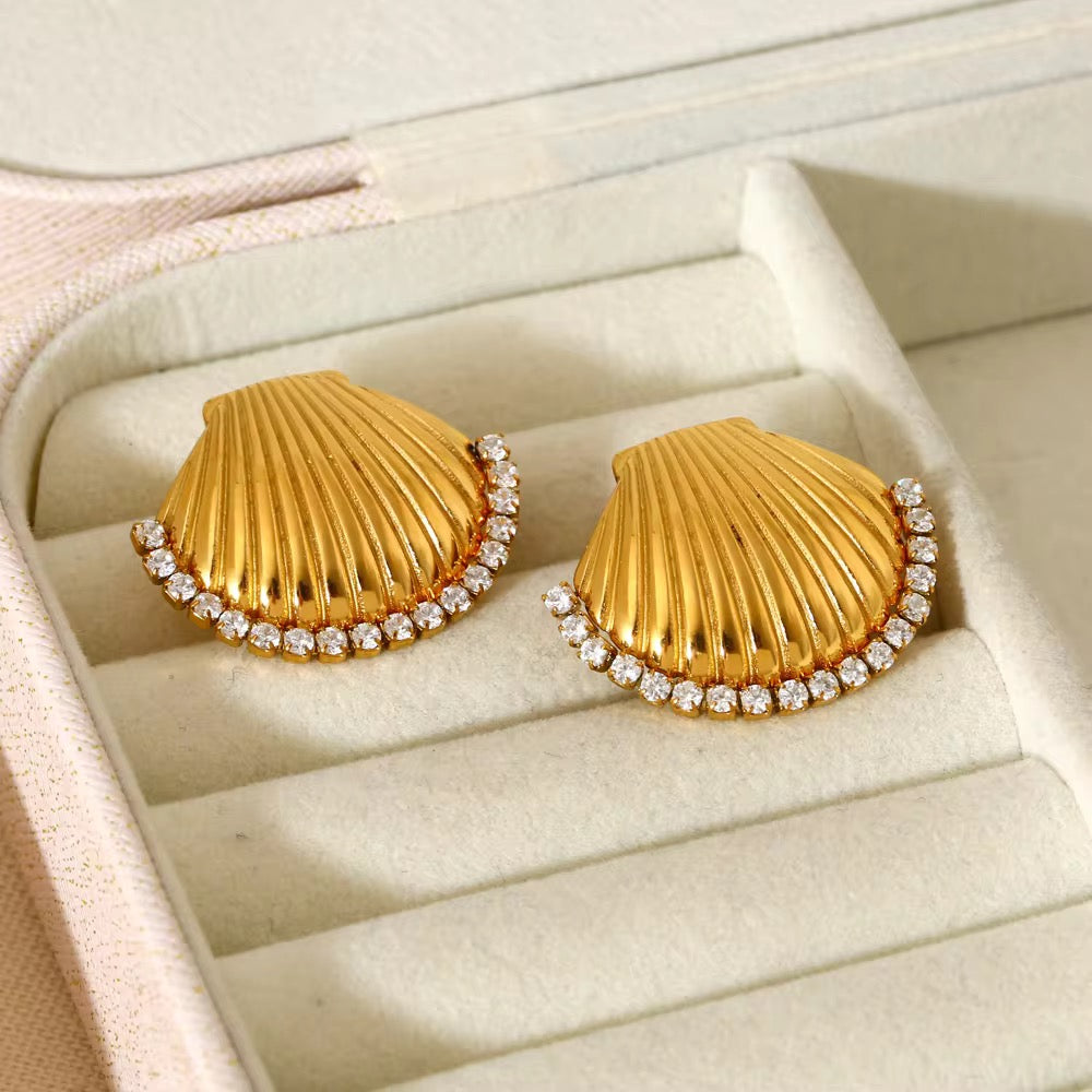 Sea shell stoned